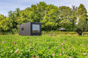 Off-grid, Eco Tiny Home Nestled In Nature